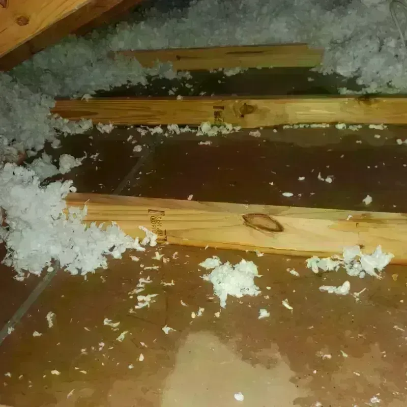 Attic Water Damage in Hudson, NH