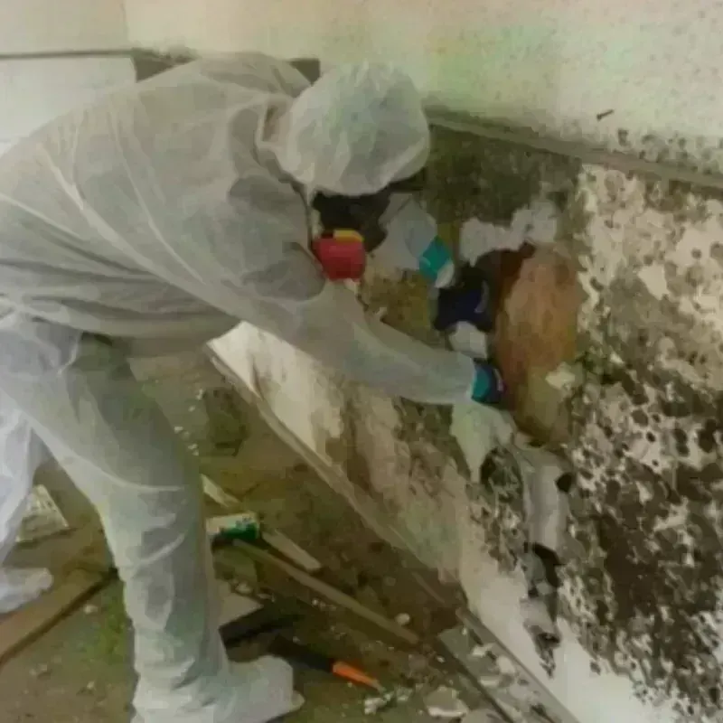 Mold Remediation and Removal in Hudson, NH